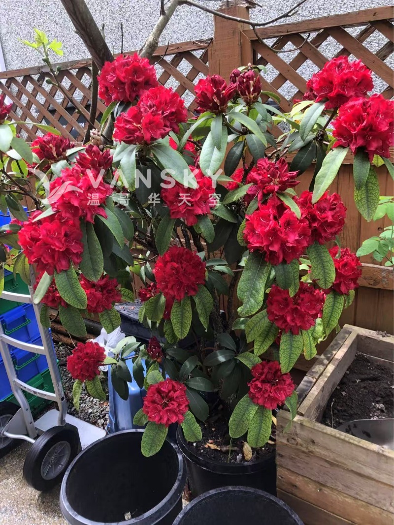 250603193047_Weixin Image_20250517135903.jpg